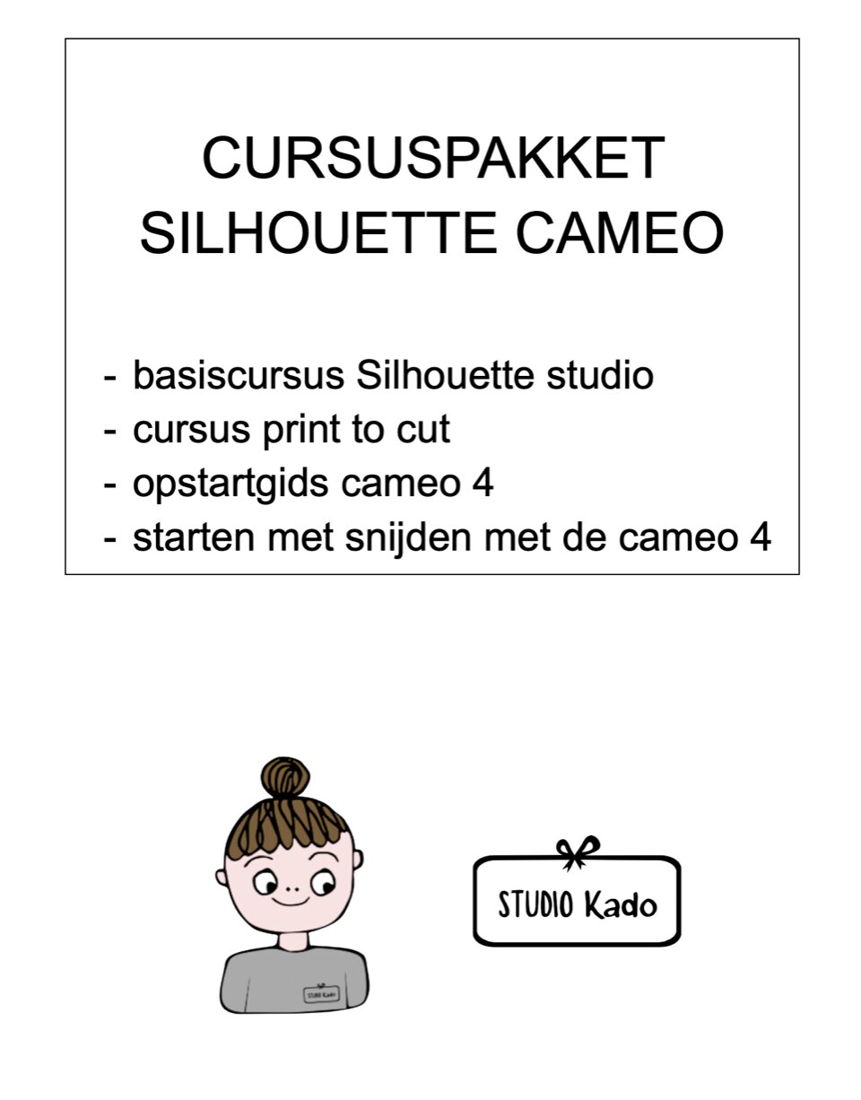 Cursus 1